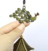 Great-sound-bronze-color-bells-wind-chimes-china-copper-peafowl-home-decor-happy-gifts-3
